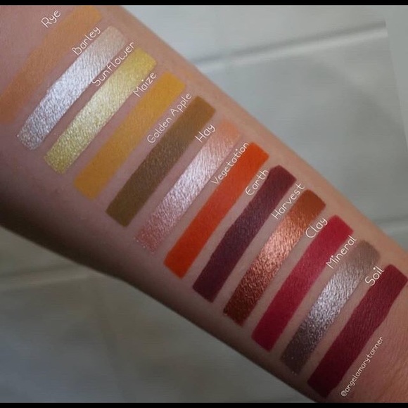 Ace Beaute Classical Paradise EyeShadow Palette BNIB - Picture 6 of 16